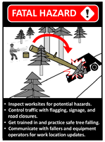 Toolbox Talk Guide Forestry Worker Killed in Vehicle from Tree Falling Activity