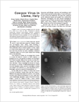 Cowpox Virus in Llama Italy