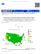 FluView Weekly US Map Influenza Summary Update