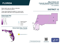 FL Congressional District 12 Stroke and Federally Qualified Health Centers Map 119th Congress