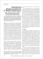 Anaplasma phagocytophilum in Whitetailed Deer