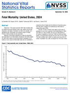 Fetal Mortality United States 2024