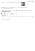 Teen newsletter  November 2023   Chickenpox