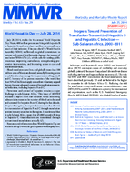 World Hepatitis Day  July 28 2014