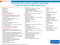 Issues relevant to advancing worker wellbeing using Total Worker Health approaches