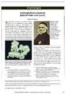 Etymologia Schizophyllum commune