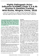 Highly Pathogenic Avian Influenza AH5N8 Clade 2344b Viruses in SatelliteTracked Wild Ducks Ningxia China 2020