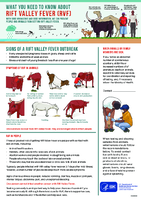 What you need to know about Rift Valley Fever RVF  with good knowledge and good information we can prevent people and animals from getting Rift Valley Fever