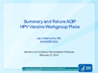 Summary and future ACIP HPV Vaccine Workgroup plans
