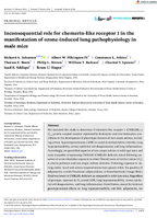 Inconsequential Role for ChemerinLike Receptor 1 in the Manifestation of OzoneInduced Lung Pathophysiology in Male Mice