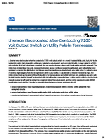 Lineman Electrocuted After Contacting 7200Volt Cutout Switch on Utility Pole in Tennessee FACE 9026