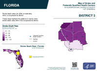 FL Congressional District 03 Stroke and Federally Qualified Health Centers Map 119th Congress