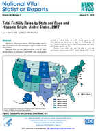 Total Fertility Rates by State and Race and Hispanic Origin United States 2017