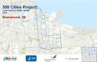 500 Cities Project Local Data for Better Health 2016 Hammond IN