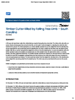 Timber Cutter Killed by Falling Tree Limb  South Carolina FACE 9504
