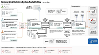 National Vital Statistics System Mortality Flow