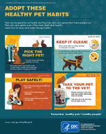 Adopt These Healthy Pet Habits