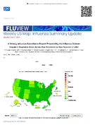 FluView Weekly US Map Influenza Summary Update