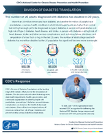Division of Diabetes Translation Division One Pager