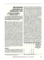 Bartonella quintana in Domestic Cat