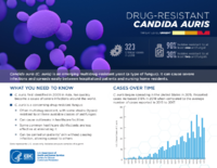 CDCs 2019 Antibiotic Resistance Threats Report DrugresistantCandida aurisC auris