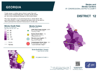 GA Congressional District 12 Stroke and Stroke Centers Map 118th Congress