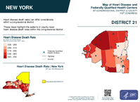 NY Congressional District 21 Heart Disease and Federally Qualified Health Centers Map 119th Congress