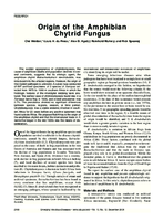 Origin of the Amphibian Chytrid Fungus