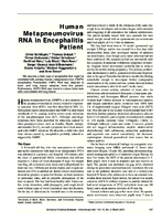 Human Metapneumovirus RNA in Encephalitis Patient