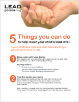 Lead Poisoning 5 Things You Can Do to Lower Your Childs Lead Level 2009