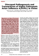 Divergent Pathogenesis and Transmission of Highly Pathogenic Avian Influenza AH5N1 in Swine