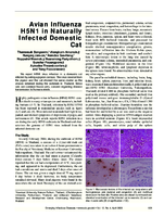 Avian Influenza H5N1 in Naturally Infected Domestic Cat