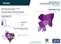 TX Congressional District 36 Stroke and Federally Qualified Health Centers Map 119th Congress
