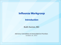 Influenza Workgroup introduction