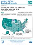 State Teen Birth Rates by Race and Hispanic Origin United States 20172018