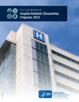 The Core elements of hospital antibiotic stewardship programs  2019