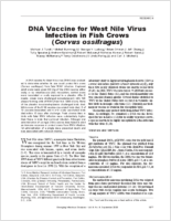 DNA Vaccine for West Nile Virus Infection in Fish Crows Corvus ossifragus