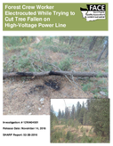 Forest Crew Worker Electrocuted While Trying to Cut Tree Fallen on HighVoltage Power Line