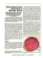 Chromobacterium violaceum in Siblings Brazil