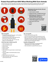 Protect Yourself From H5N1 When Working With Farm Animals