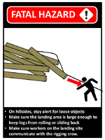 Toolbox Talk Guide Logger Killed by 41Foot Pole Sliding down Steep Hill