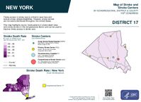 NY Congressional District 17 Stroke and Stroke Centers Map 119th Congress