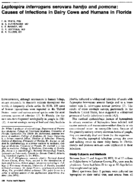 Leptospira Interrogans Serovars Hardjo And Pomona Causes Of Infections In Dairy Cows And Humans In Florida