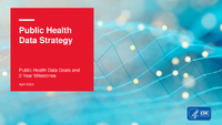 Public Health Data Strategy Public Health Data Goals and 2Year Milestones