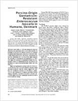 PorcineOrigin GentamicinResistant Enterococcusfaecalis in Humans Denmark