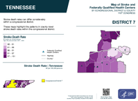 TN Congressional District 07 Stroke and Federally Qualified Health Centers Map 119th Congress