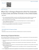 What CDC Is Doing to Respond to Bird Flu Outbreaks in Dairy Cows and Other Animals in the United States