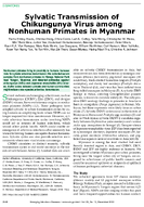 Sylvatic Transmission of Chikungunya Virus among Nonhuman Primates in Myanmar