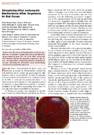Streptobacillus notomytis Bacteremia after Exposure to Rat Feces