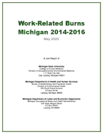 WorkRelated Burns Michigan 20142016